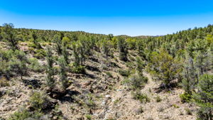 Lot Photo (5)
