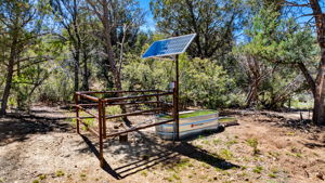Lot Photo (6)