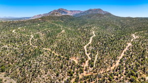Aerial (1)