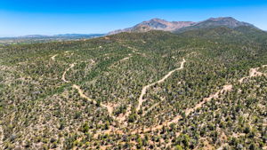 Aerial (3)