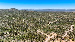 Aerial (4)