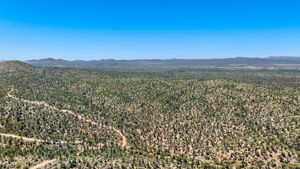 Aerial (3)
