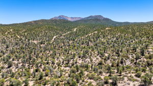 Aerial (4)