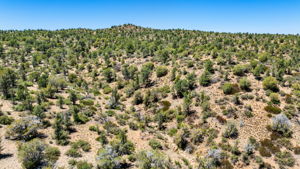 Lot Photo (1)