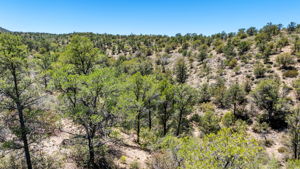 Lot Photo (2)