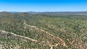 Aerial (3)