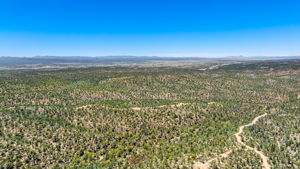 Aerial (4)