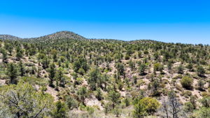 Lot Photo (2)