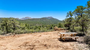 Lot Photo (3)