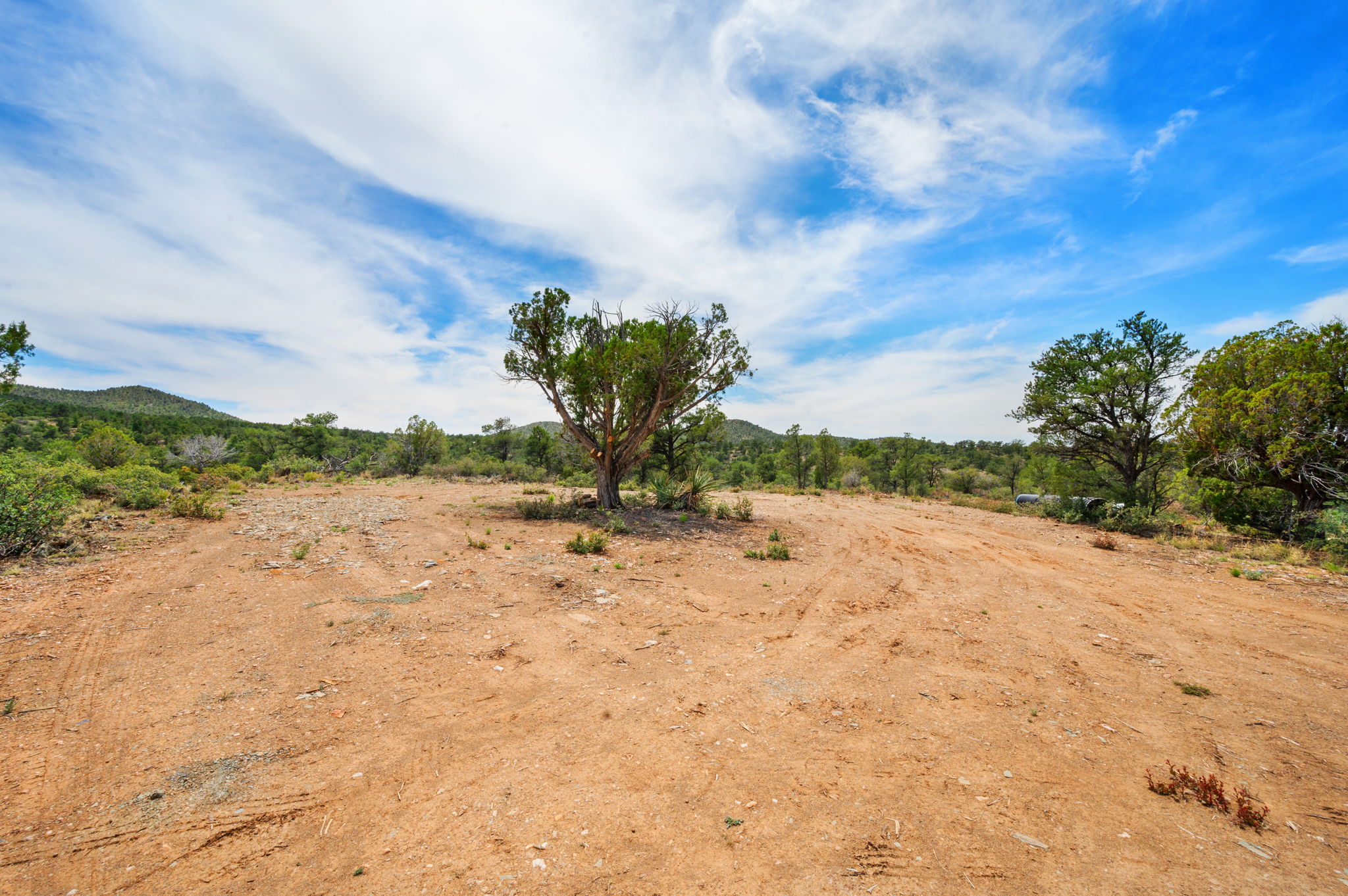 Lot Photo (6)