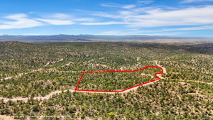 Aerial (4) Lot Lines