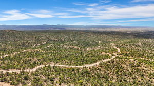 Aerial (4)