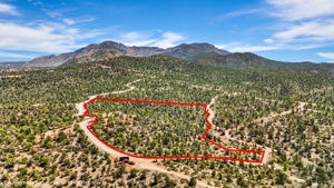 Aerial (1) Lot Lines