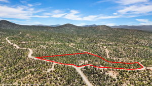 Aerial (3) Lot Lines