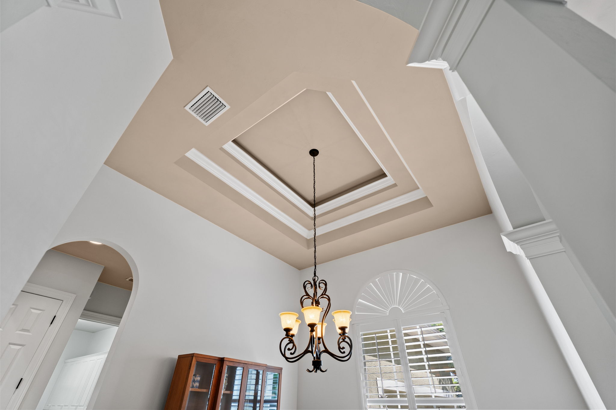 20 ft ceilings throughout and tray ceilings.
