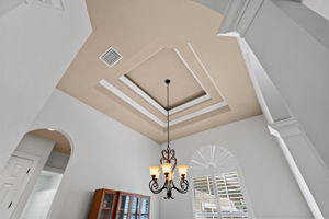 20 ft ceilings throughout and tray ceilings.