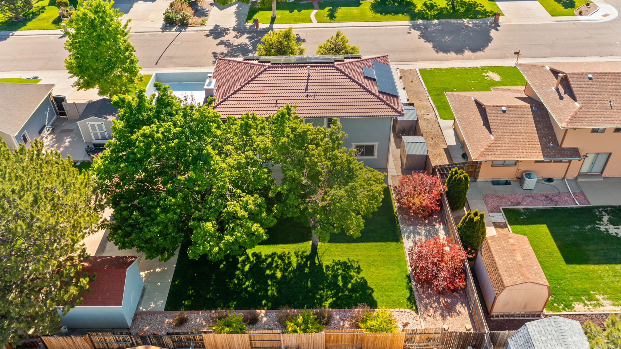  Photo 38
