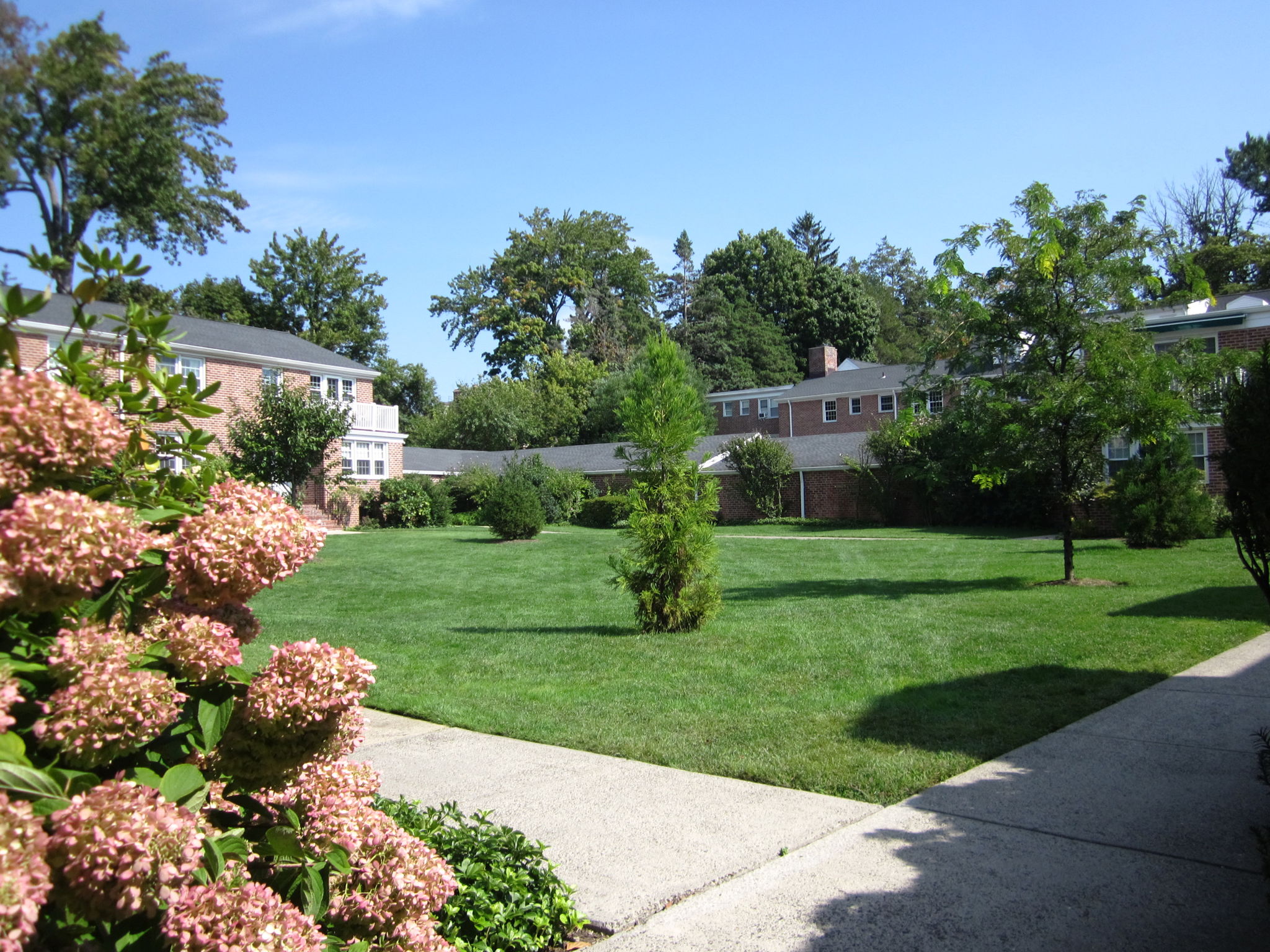 View from Front Door