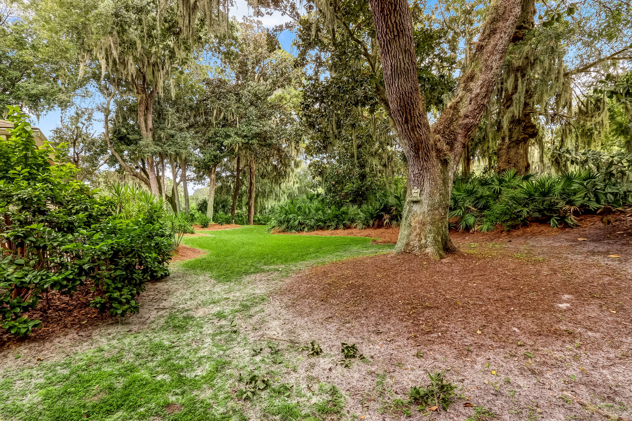 Back Yard