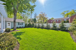 RAW_0279.jpg
