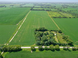 Farm View