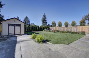 04 backyard 3