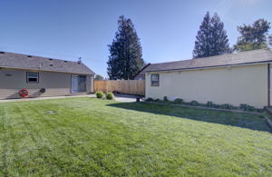 04 backyard 5