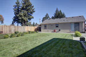 04 backyard 4