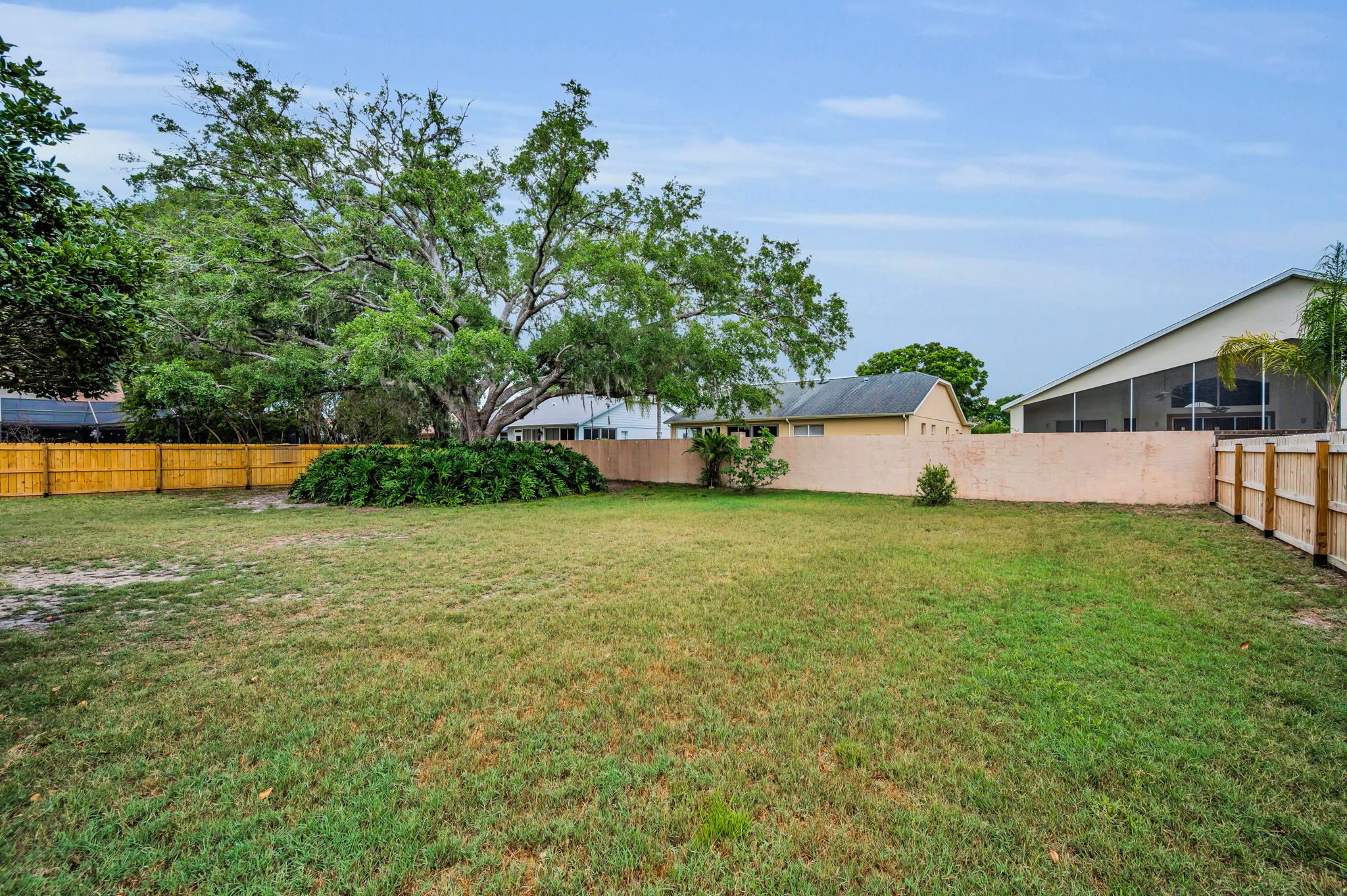 Backyard1