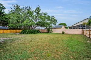 Backyard1