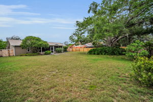 Backyard3