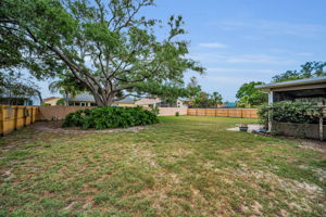 Backyard6