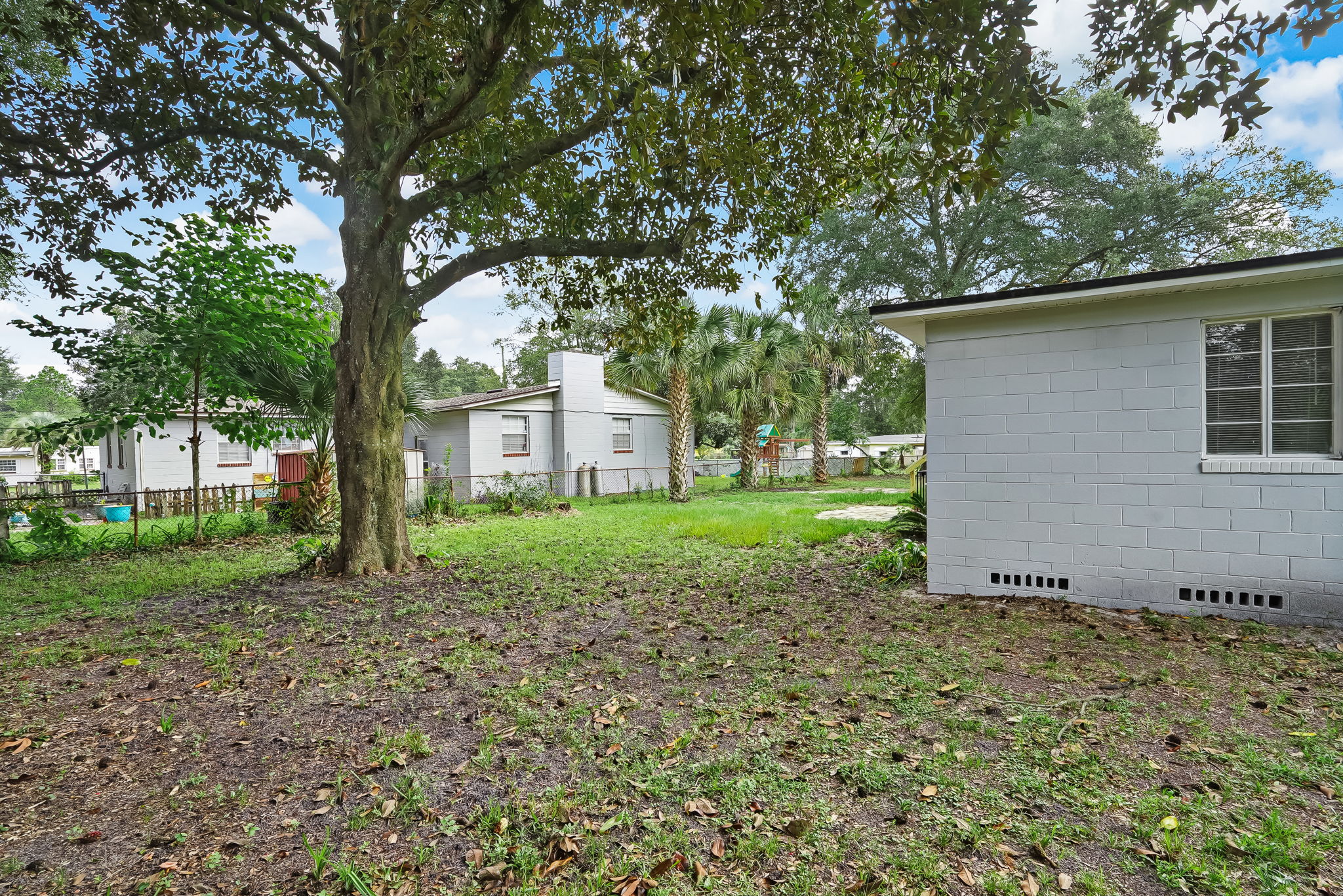 Back Yard