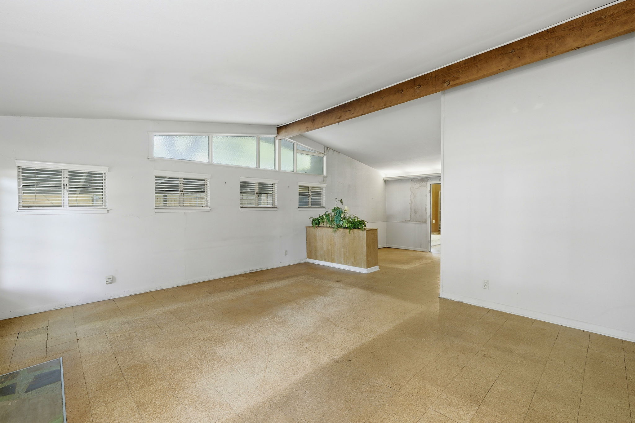 Living/Dining