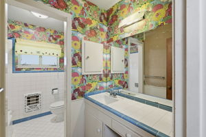 Hall Bathroom