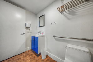  Photo 41