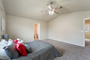 6113 Wood Bison Trail, Colorado Springs, CO 80925, USA Photo 30
