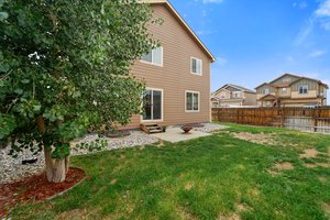 6113 Wood Bison Trail, Colorado Springs, CO 80925, USA Photo 26