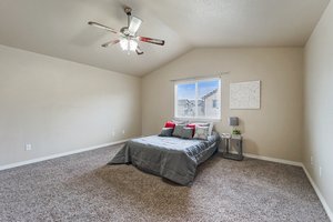 6113 Wood Bison Trail, Colorado Springs, CO 80925, USA Photo 31