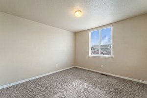 6113 Wood Bison Trail, Colorado Springs, CO 80925, USA Photo 36