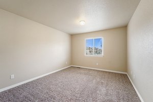 6113 Wood Bison Trail, Colorado Springs, CO 80925, USA Photo 28