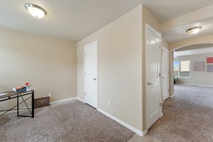 6113 Wood Bison Trail, Colorado Springs, CO 80925, USA Photo 13