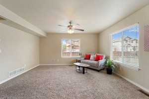 6113 Wood Bison Trail, Colorado Springs, CO 80925, USA Photo 15
