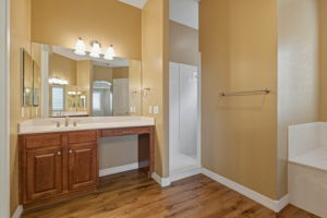 Primary Bathroom (3)