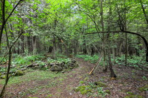  Photo 37