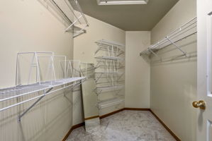  Photo 50
