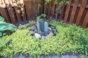  Photo 49