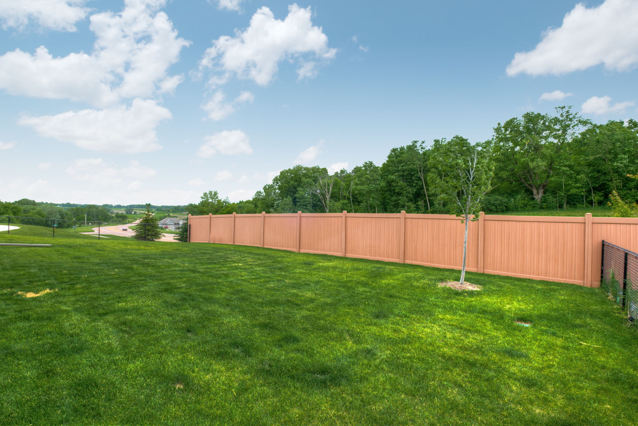 Backyard with Fencing