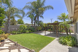  Photo 45