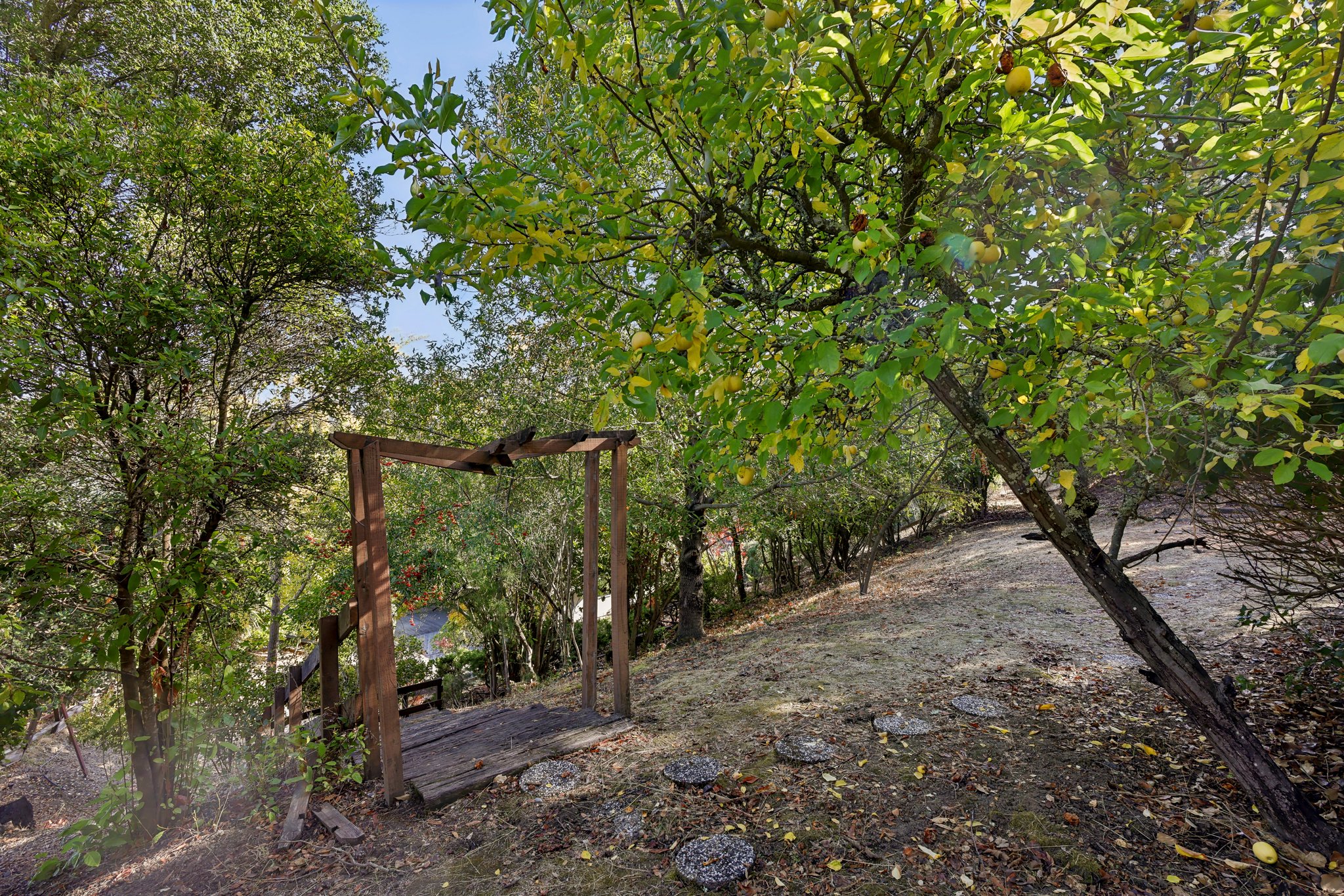Tahos Rd-052.jpg